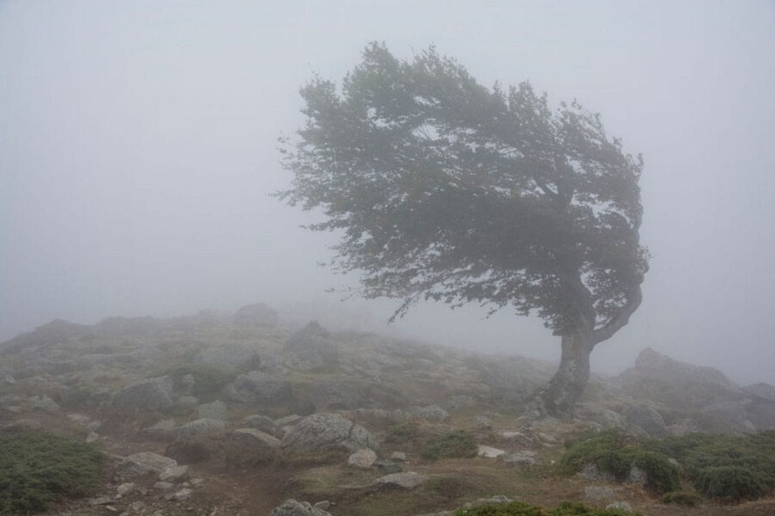 Za danas izdat meteoalarm: Duvaće jak vjetar, na sjeveru moguć i snijeg